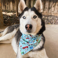Cars and Trucks Bandana - Dogbana 