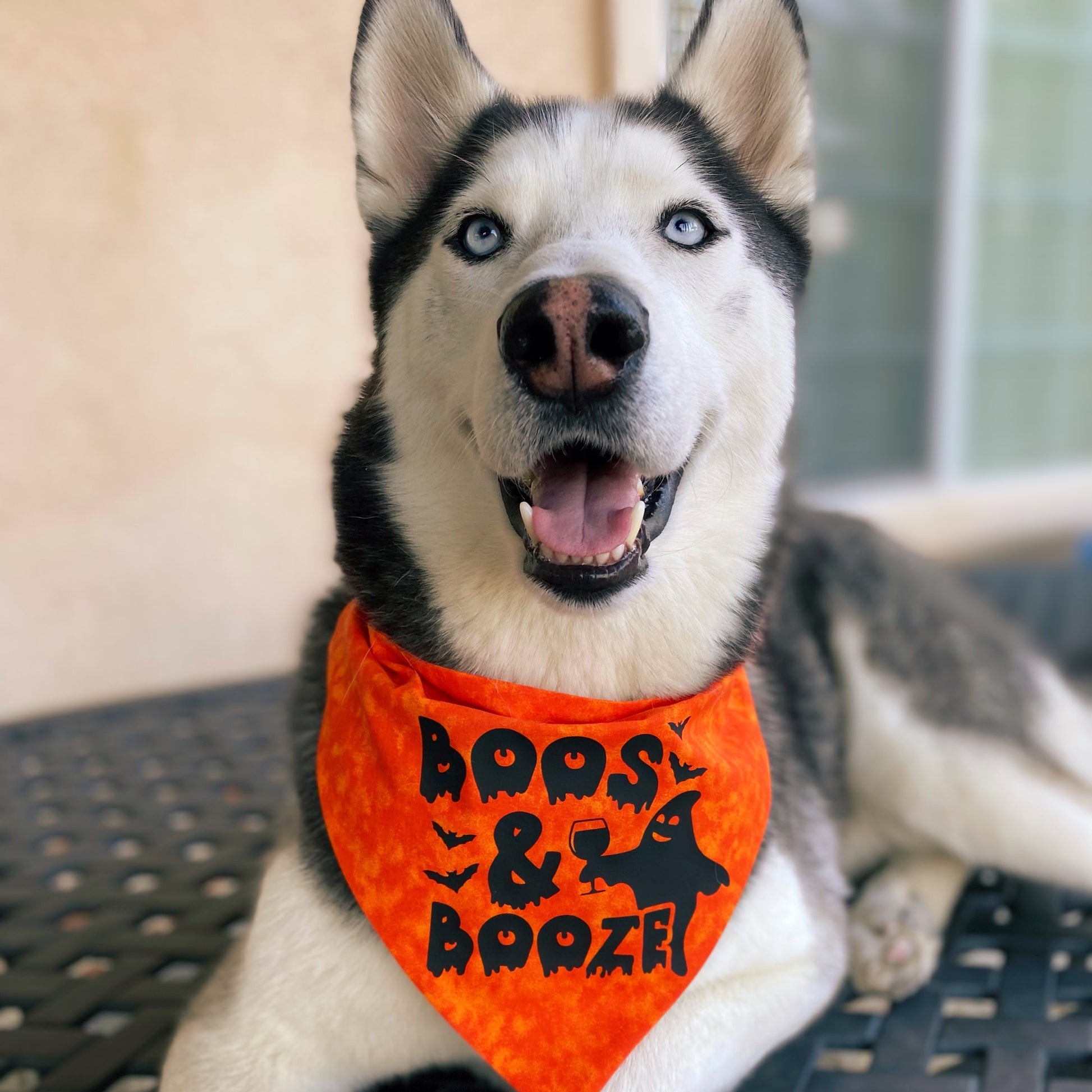 Boos and Booze Bandana - Dogbana 